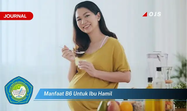 manfaat b6 untuk ibu hamil