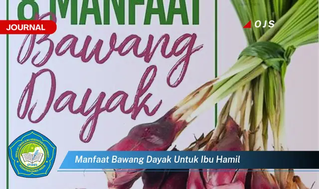 manfaat bawang dayak untuk ibu hamil