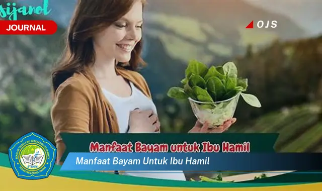 manfaat bayam untuk ibu hamil