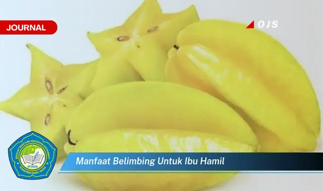 manfaat belimbing untuk ibu hamil