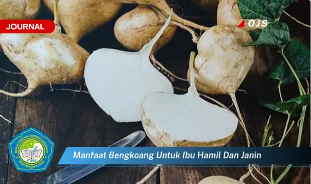 manfaat bengkoang untuk ibu hamil dan janin