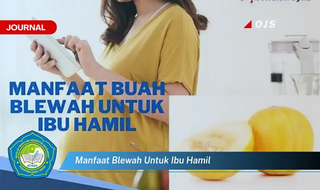 manfaat blewah untuk ibu hamil manfaat blewah untuk ibu hamil