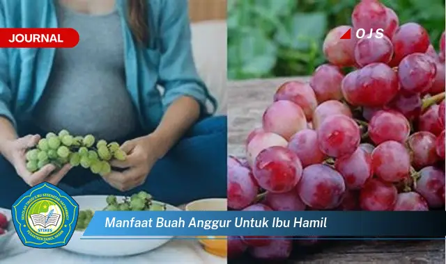 manfaat buah anggur untuk ibu hamil