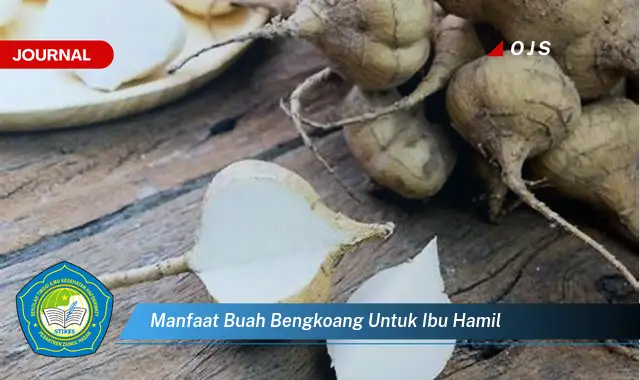 manfaat buah bengkoang untuk ibu hamil