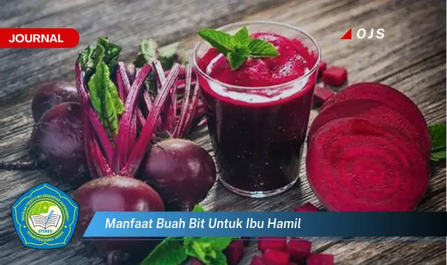 manfaat buah bit untuk ibu hamil