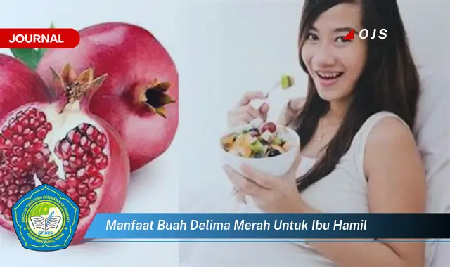 manfaat buah delima merah untuk ibu hamil