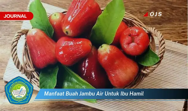 manfaat buah jambu air untuk ibu hamil manfaat buah jambu air untuk ibu hamil