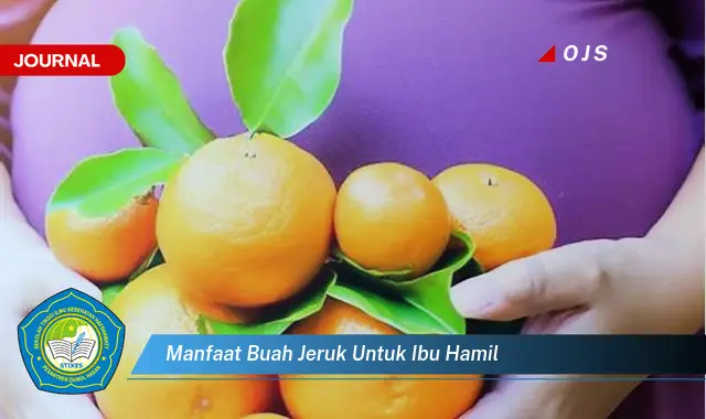 manfaat buah jeruk untuk ibu hamil