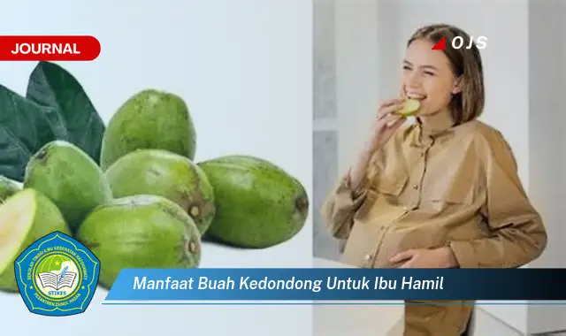 manfaat buah kedondong untuk ibu hamil manfaat buah kedondong untuk ibu hamil