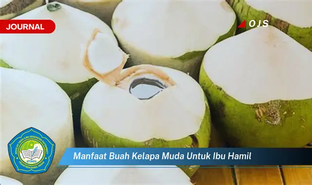 manfaat buah kelapa muda untuk ibu hamil