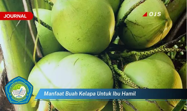 manfaat buah kelapa untuk ibu hamil