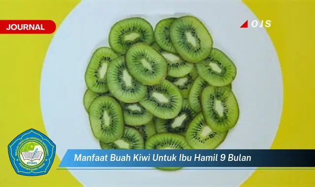 manfaat buah kiwi untuk ibu hamil 9 bulan manfaat buah kiwi untuk ibu hamil 9 bulan