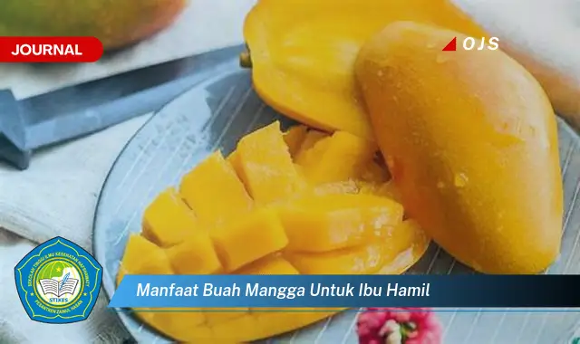 Temukan 6 Manfaat Buah Mangga untuk Ibu Hamil yang Bikin Kamu Penasaran - E-Journal