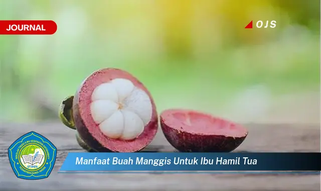 manfaat buah manggis untuk ibu hamil tua