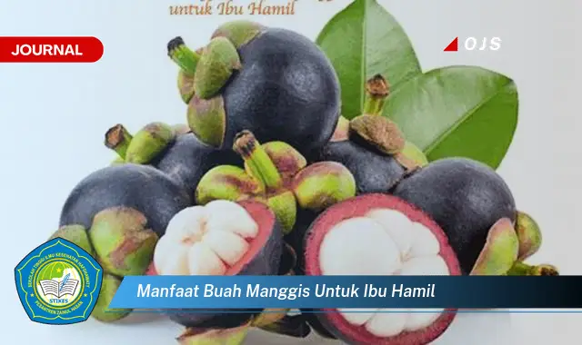 manfaat buah manggis untuk ibu hamil