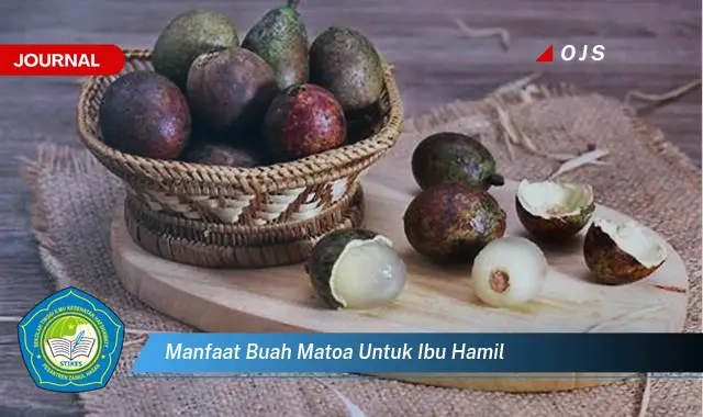 manfaat buah matoa untuk ibu hamil