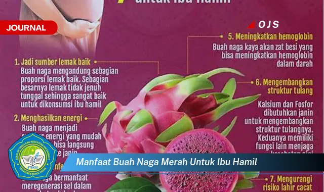 manfaat buah naga merah untuk ibu hamil