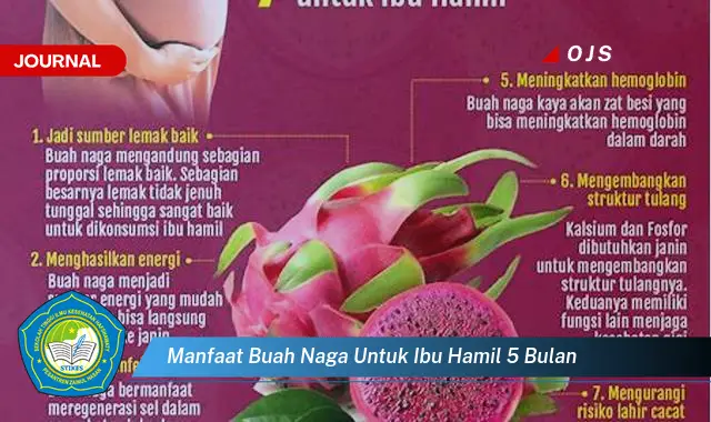 manfaat buah naga untuk ibu hamil 5 bulan