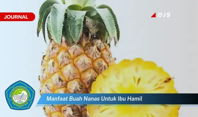 manfaat buah nanas untuk ibu hamil
