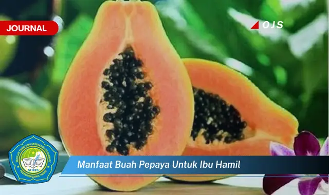 manfaat buah pepaya untuk ibu hamil