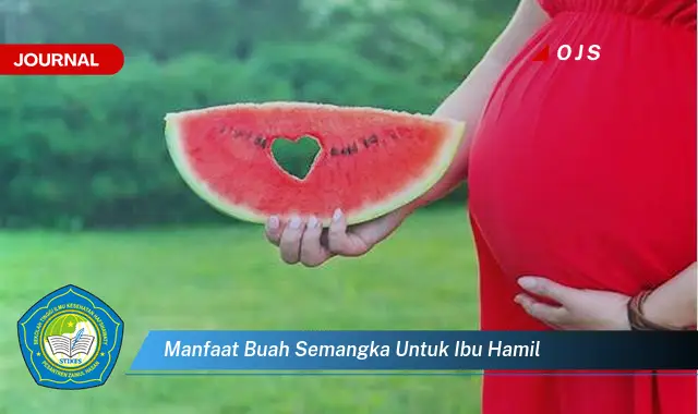 manfaat buah semangka untuk ibu hamil