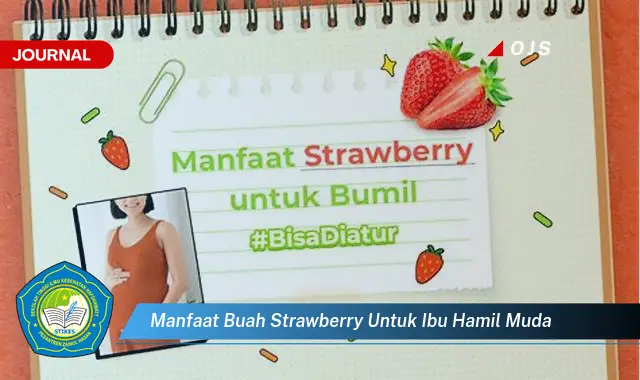 manfaat buah strawberry untuk ibu hamil muda manfaat buah strawberry untuk ibu hamil muda