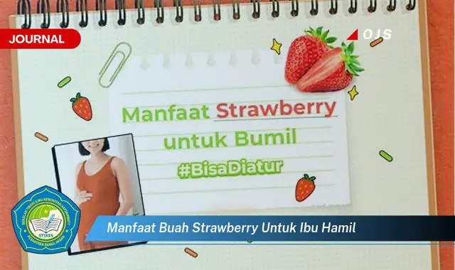 manfaat buah strawberry untuk ibu hamil manfaat buah strawberry untuk ibu hamil