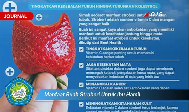 manfaat buah stroberi untuk ibu hamil