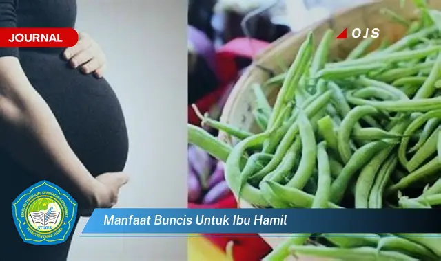 manfaat buncis untuk ibu hamil