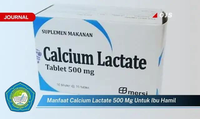 manfaat calcium lactate 500 mg untuk ibu hamil