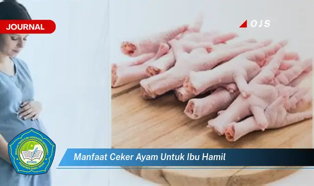 manfaat ceker ayam untuk ibu hamil