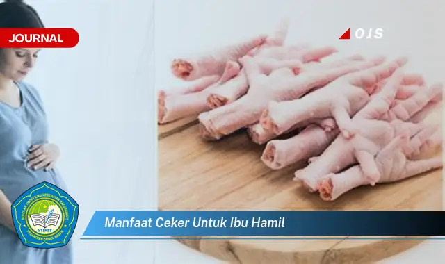 manfaat ceker untuk ibu hamil