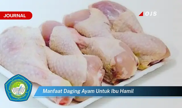 manfaat daging ayam untuk ibu hamil