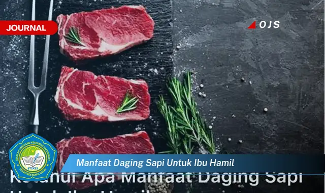 manfaat daging sapi untuk ibu hamil