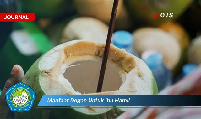 manfaat degan untuk ibu hamil