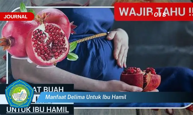 manfaat delima untuk ibu hamil