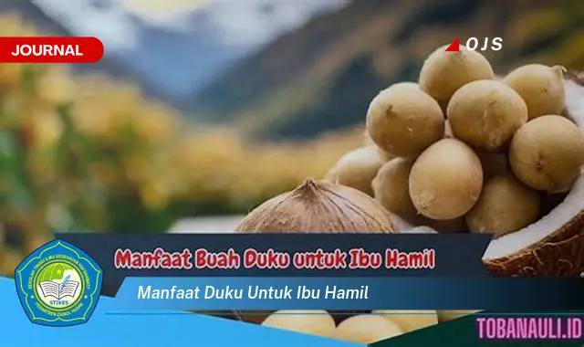 manfaat duku untuk ibu hamil