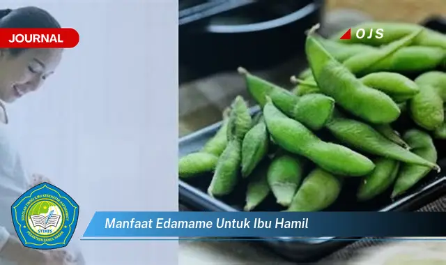 manfaat edamame untuk ibu hamil manfaat edamame untuk ibu hamil