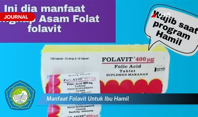 manfaat folavit untuk ibu hamil manfaat folavit untuk ibu hamil