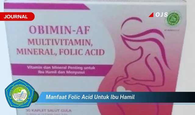 manfaat folic acid untuk ibu hamil