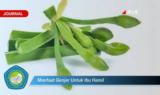 manfaat genjer untuk ibu hamil