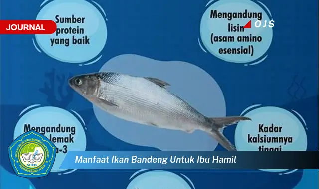 manfaat ikan bandeng untuk ibu hamil