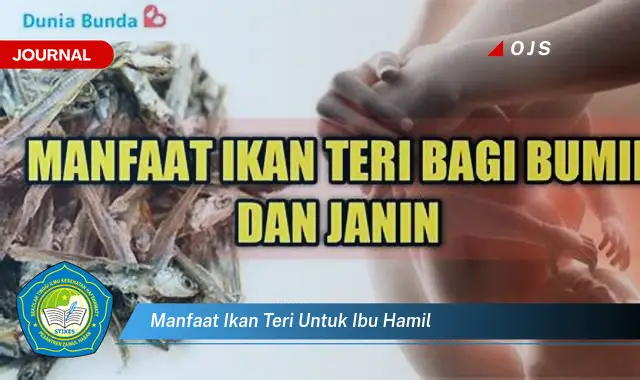 manfaat ikan teri untuk ibu hamil