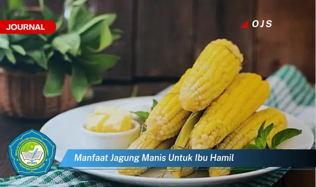 manfaat jagung manis untuk ibu hamil