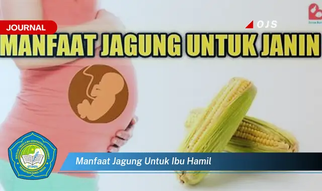 manfaat jagung untuk ibu hamil
