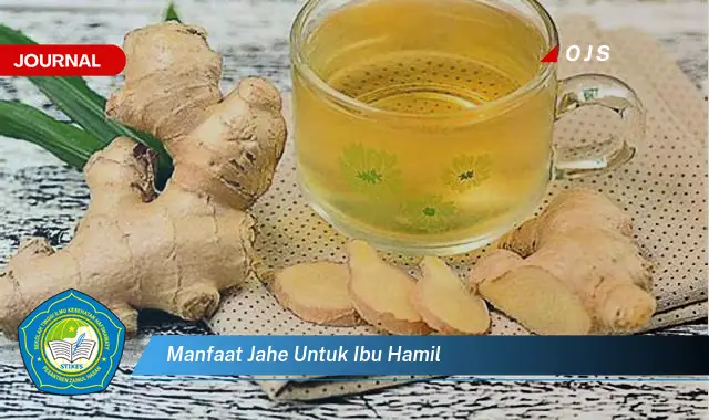 manfaat jahe untuk ibu hamil