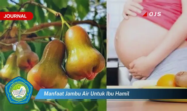 manfaat jambu air untuk ibu hamil