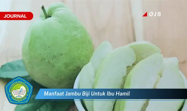manfaat jambu biji untuk ibu hamil manfaat jambu biji untuk ibu hamil