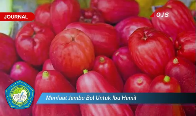 manfaat jambu bol untuk ibu hamil manfaat jambu bol untuk ibu hamil