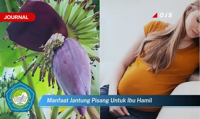 manfaat jantung pisang untuk ibu hamil